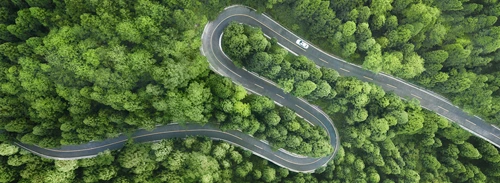 Picture of Sustainability and Environment menu - Forest