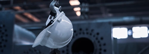 Picture of Regulatory Committees menu - Safety devices